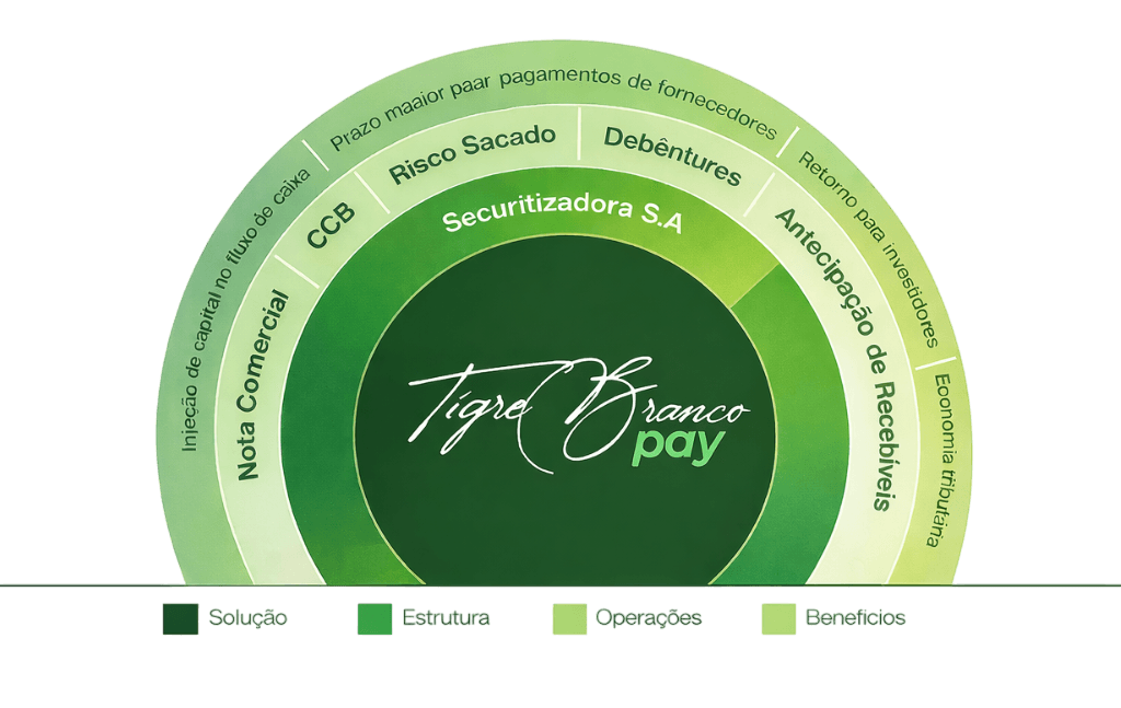 Estrutura de Securitização